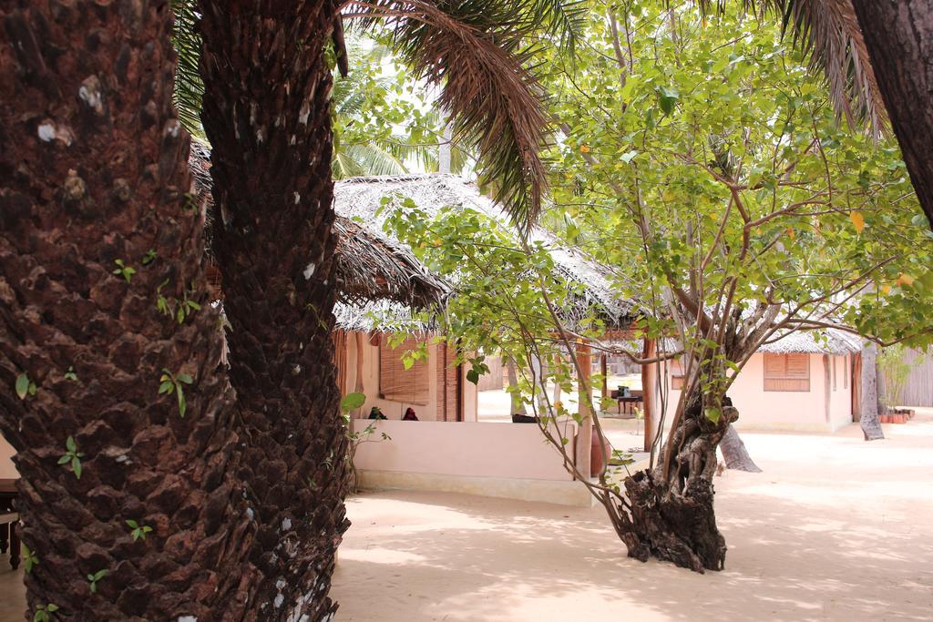 Cocodance Kitesurfing Resort Kalpitiya Exterior photo
